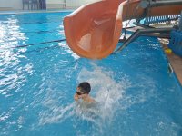 whatsapp image 2026-03-01 at 19.54.43 1